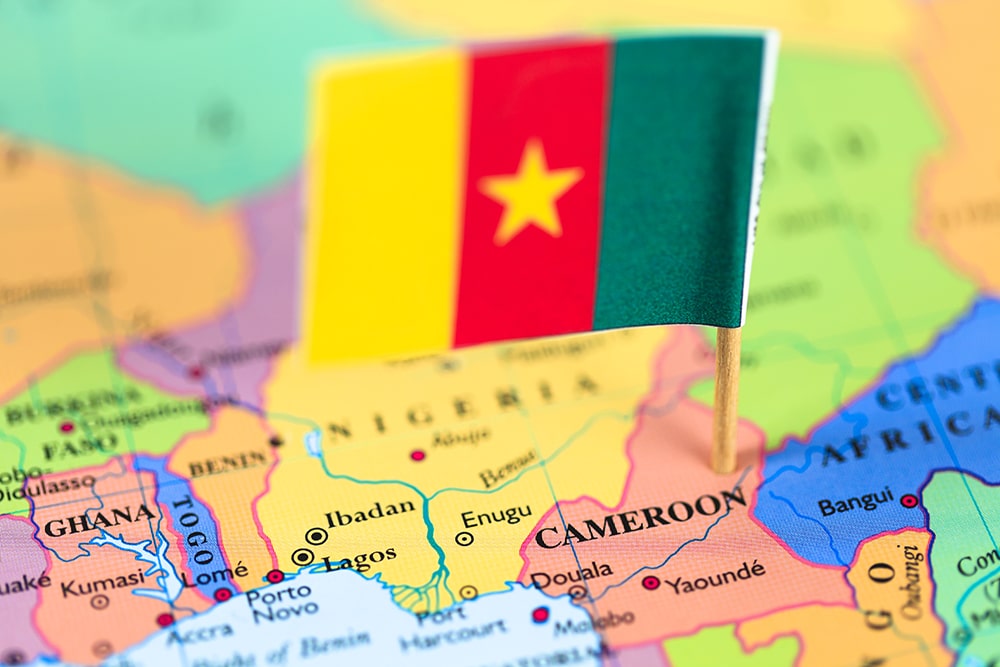 Cameroon Map Flag TW 